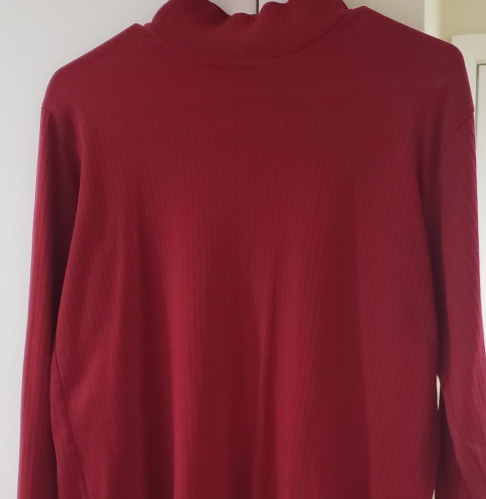 Ladies long sleeve mock turtleneck